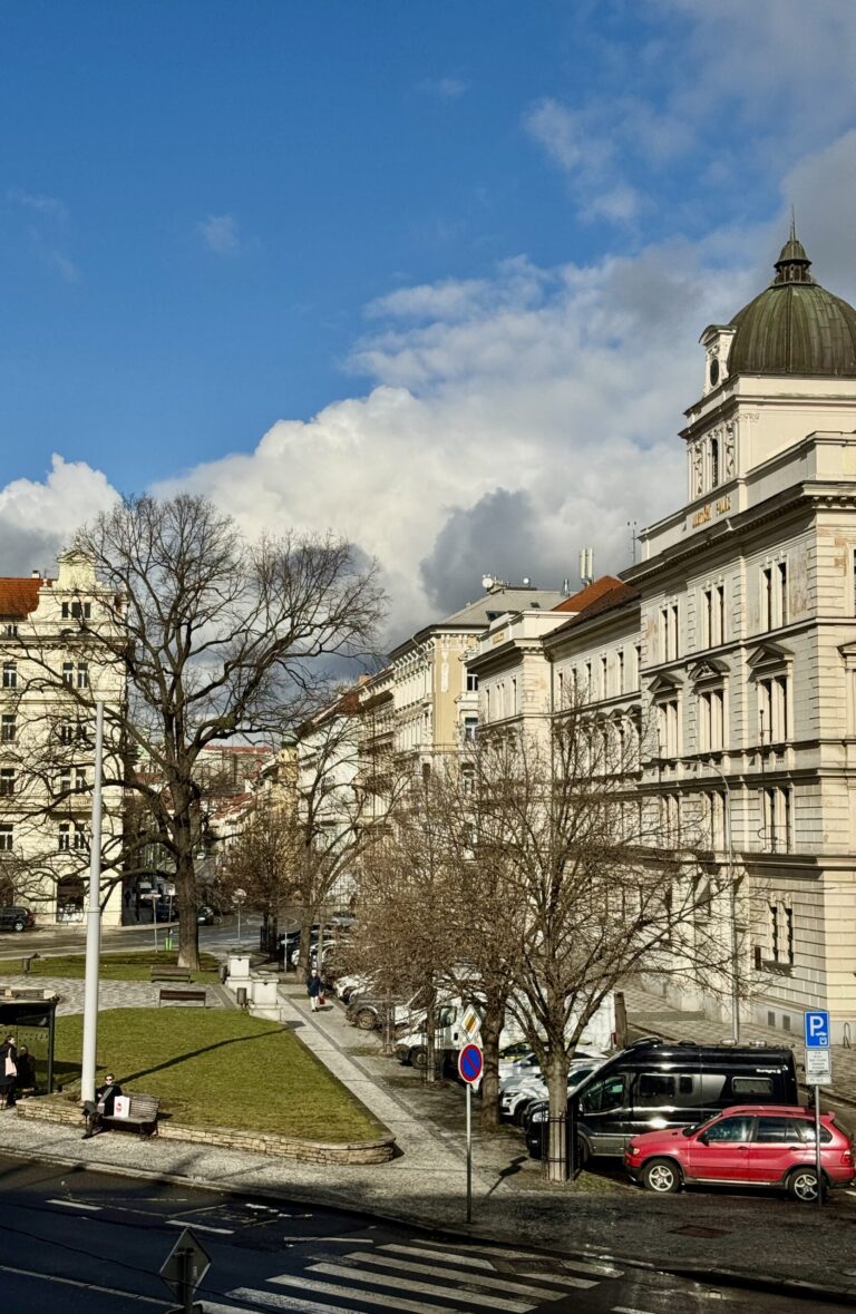 alex-brut-design-studio-sidlo